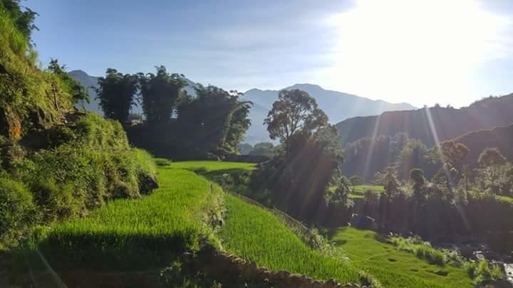 Nguyen Dang Guesthouse Sapa Exteriör bild