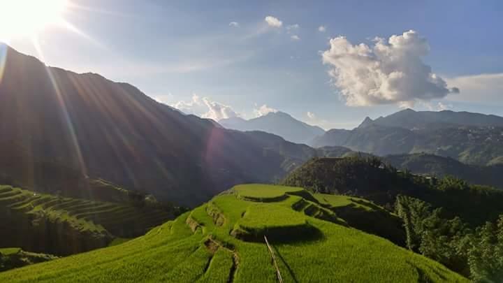 Nguyen Dang Guesthouse Sapa Exteriör bild